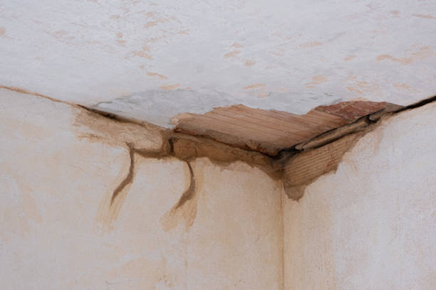 Best Water damage restoration cost  in Sandusky, MI
