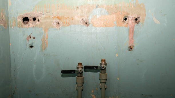 Best Basement water damage restoration  in Sandusky, MI