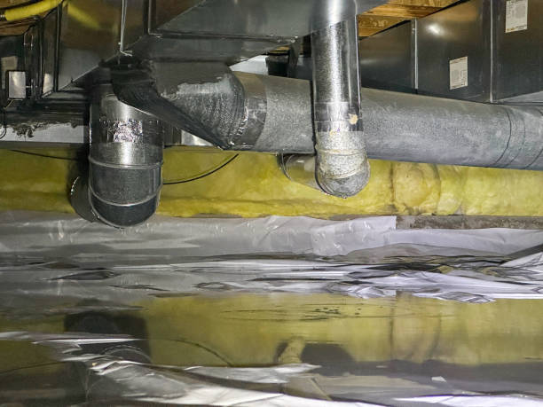 Best 24/7 water damage repair  in Sandusky, MI